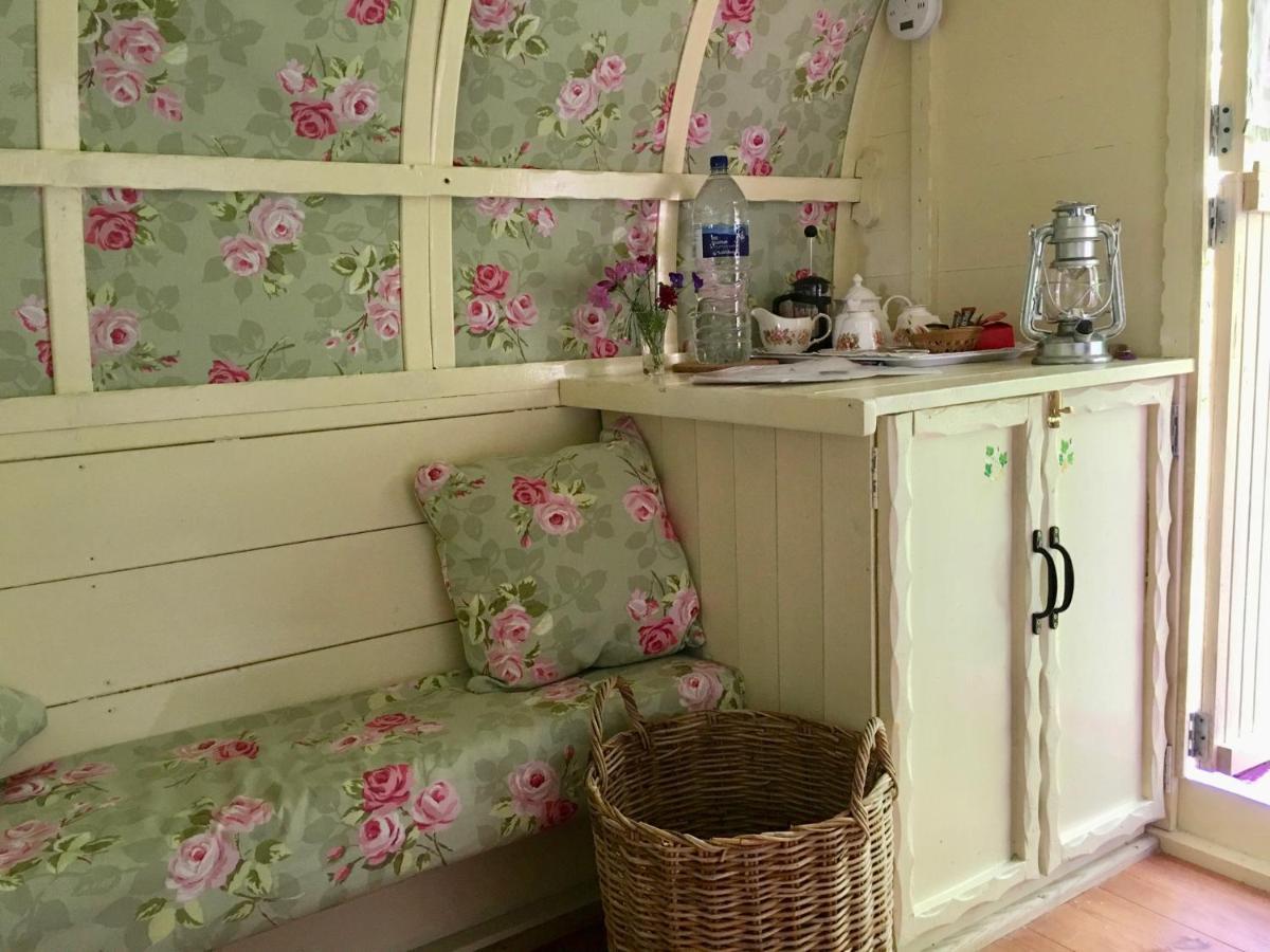 Bed and Breakfast Fernwood Рингвуд Экстерьер фото
