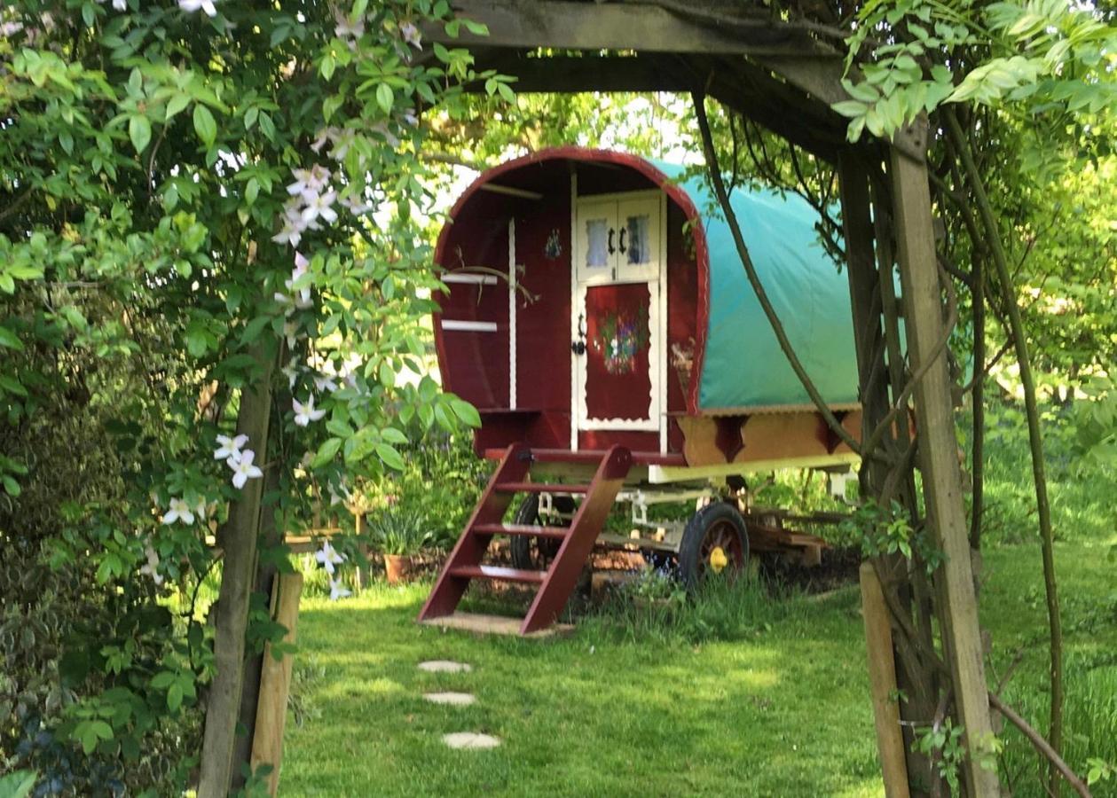 Bed and Breakfast Fernwood Рингвуд Экстерьер фото