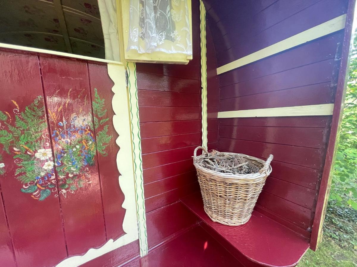 Bed and Breakfast Fernwood Рингвуд Экстерьер фото